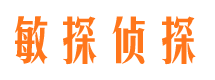 申扎市调查公司